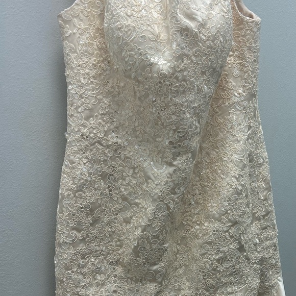 Champagne color gown with an Appliqué bodice, sweep train, scalloped bottom. - Picture 10 of 10